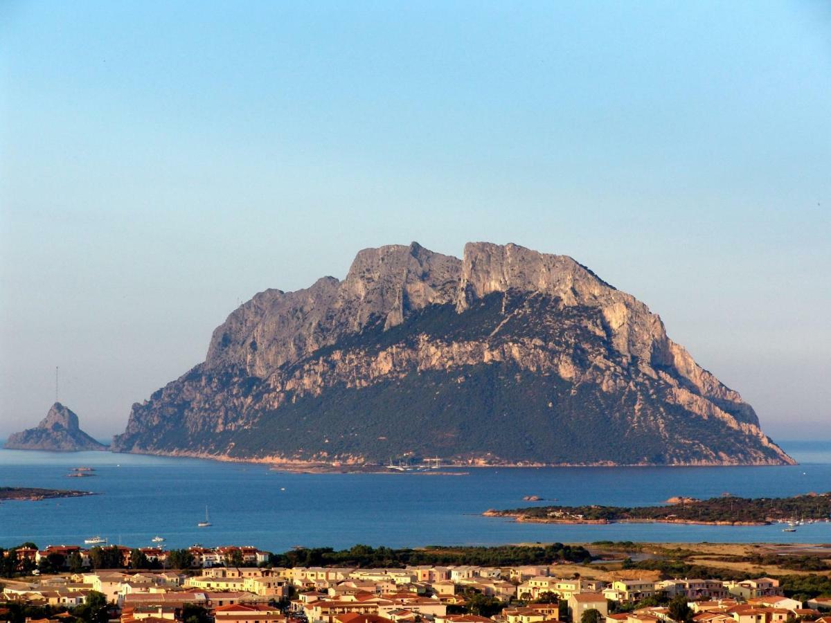 Residence L'Ea Di Lavru - Appartamenti Mono-Bilo-Trilocali 포르토산파울로 외부 사진
